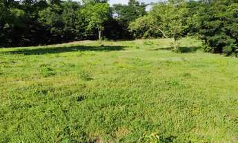 Imagem 3: Fazenda com 520 hectares na Bahia