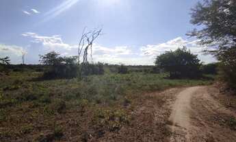 Imagem 5: Fazenda com 520 hectares na Bahia