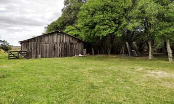 Imagem 3: Sítio com 6 hectares em Palmares do Sul/RS