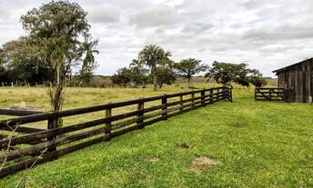 Imagem 5: Sítio com 6 hectares em Palmares do Sul/RS