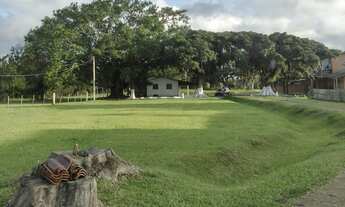 Imagem: Sítio com 6 hectares em Palmares do Sul/RS