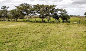 Imagem 6: Sítio com 6 hectares em Palmares do Sul/RS