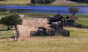 Imagem: Fazenda com 172 hectares em Camaquã/RS