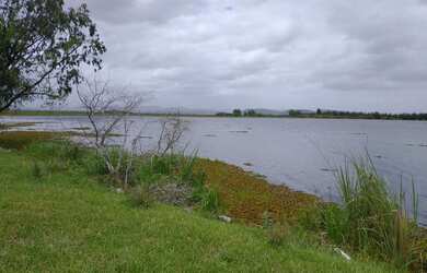 Imagem 7: Fazenda com 285 hectares em Santo Antonio da Patrulha/RS