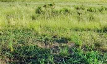 Imagem 4: FAZENDA RURAL em SÃO JERÔNIMO - RS, Sao Jeronimo