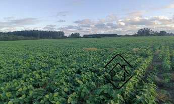 Imagem 2: FAZENDA RURAL em PALMARES DO SUL - RS, Palmares do Sul