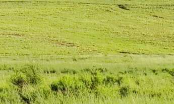 Imagem 5: FAZENDA RURAL em SÃO JERÔNIMO - RS, Sao Jeronimo