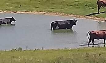 Imagem: FAZENDA RURAL em SANTO ANTÔNIO DA PATRULHA