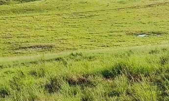 Imagem 6: FAZENDA RURAL em SÃO JERÔNIMO - RS, Sao Jeronimo