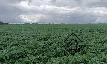 Imagem: FAZENDA RURAL em PALMARES DO SUL - RS, Palmares