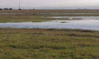 Imagem 5: FAZENDA RURAL em VIAMAO - RS, VIAMAO