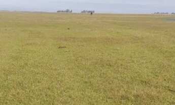 Imagem 7: FAZENDA RURAL em VIAMAO - RS, VIAMAO