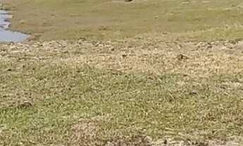 Imagem 3: FAZENDA RURAL em VIAMAO - RS, VIAMAO