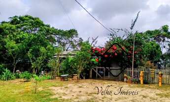 Imagem: FAZENDA RURAL em MOSTARDAS - RS, Bacupari