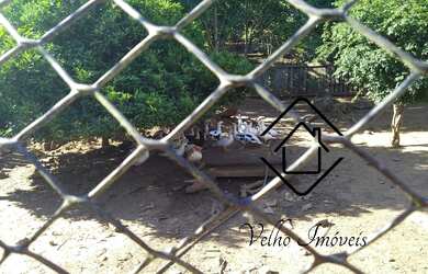 Imagem 5: FAZENDA RURAL em SANTO ANTÔNIO DA PATRULHA - RS, Santo Antonio da Patrulha