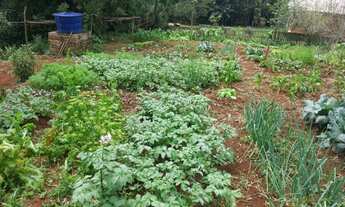Imagem 6: Sitio com 23 hectares no Morro da Borrussia/Osório