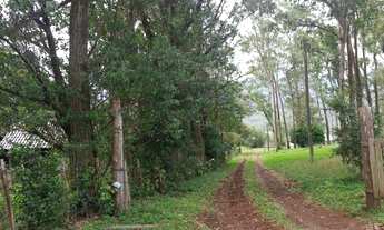 Imagem 2: Sitio com 23 hectares no Morro da Borrussia/Osório