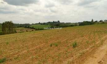Imagem 3: SITIO RURAL em Araçoiaba da Serra - SP - SP, Área Rural