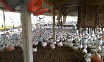 Imagem: SITIO RURAL em SÃO MIGUEL ARCANJO SP