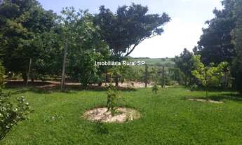 Imagem 5: CHACARA RESIDENCIAL em Sarapuí - SP, Centro Sarapuí