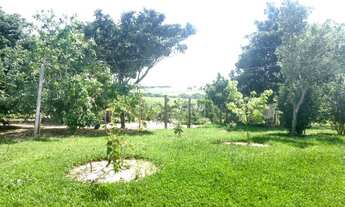 Imagem 6: CHACARA RESIDENCIAL em Sarapuí - SP, Centro Sarapuí