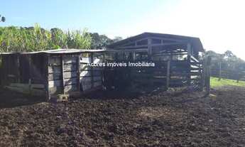 Imagem 4: SITIO RURAL em Sarapuí - SP, Varzea