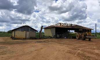 Imagem 2: Fazenda a Venda em Tocantins cidade de Araguaçu - TO Área: 375 alqueires Topografia: pl