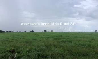 Imagem 5: Fazenda a Venda em Tocantins cidade de Araguaçu - TO Área: 375 alqueires Topografia: pl
