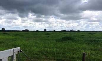 Imagem 6: Fazenda a Venda em Tocantins cidade de Araguaçu - TO Área: 375 alqueires Topografia: pl