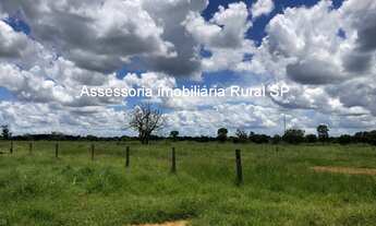 Imagem 7: Fazenda a Venda em Tocantins cidade de Araguaçu - TO Área: 375 alqueires Topografia: pl