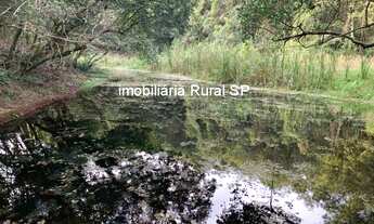 Imagem 5: CHACARA RESIDENCIAL em SARAPUÍ - SP, Faxinal