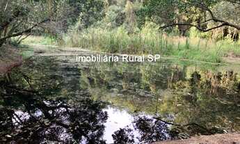 Imagem 6: CHACARA RESIDENCIAL em SARAPUÍ - SP, Faxinal