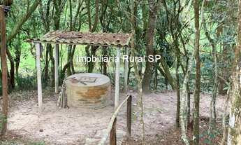 Imagem 2: CHACARA RESIDENCIAL em SARAPUÍ - SP, Faxinal