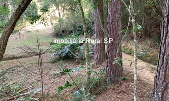 Imagem 7: CHACARA RESIDENCIAL em SARAPUÍ - SP, Faxinal