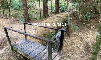 Imagem 3: CHACARA RESIDENCIAL em SARAPUÍ - SP, Faxinal