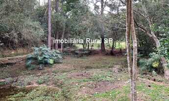 Imagem 4: CHACARA RESIDENCIAL em SARAPUÍ - SP, Faxinal