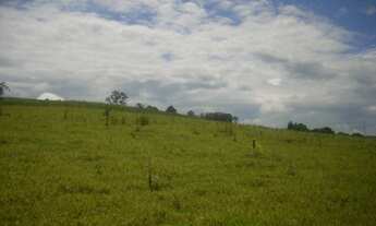 Imagem: SITIO RURAL em Sarapuí - SP, MORADA DO