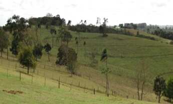 Imagem 6: FAZENDA RURAL em São Miguel Arcanjo - SP, Centro