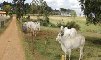 Imagem 3: FAZENDA RURAL em São Miguel Arcanjo - SP, Centro