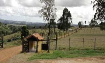 Imagem 4: FAZENDA RURAL em São Miguel Arcanjo - SP, Centro