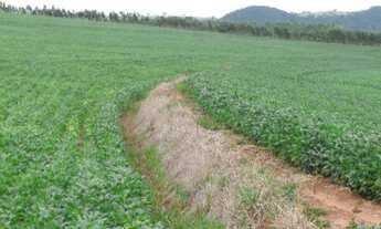 Imagem 2: FAZENDA RURAL em Taquarituba - SP, Centro