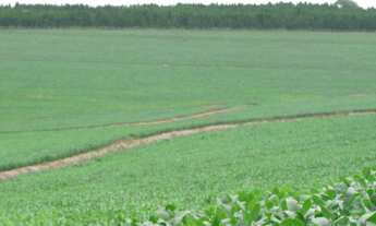 Imagem 3: FAZENDA RURAL em Taquarituba - SP, Centro