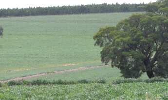 Imagem 4: FAZENDA RURAL em Taquarituba - SP, Centro