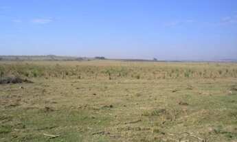 Imagem 4: FAZENDA RURAL em Itapetininga - SP, Centro