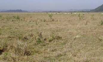 Imagem 6: FAZENDA RURAL em Itapetininga - SP, Centro
