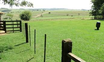 Imagem 3: FAZENDA RURAL em Itapetininga - SP, Centro