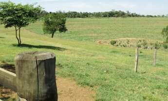 Imagem 7: FAZENDA RURAL em Itapetininga - SP, Centro