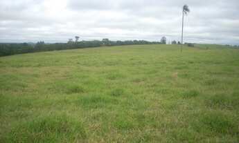 Imagem: SITIO RURAL em Sarapuí - SP, Centro