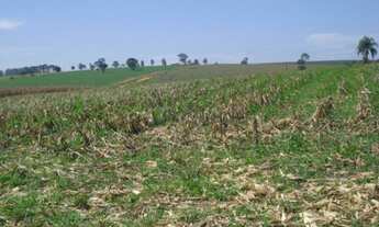 Imagem 3: FAZENDA RURAL em Itapetininga - SP, Centro