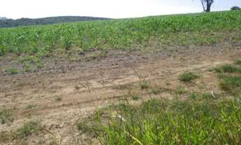 Imagem 2: FAZENDA RURAL em Itapetininga - SP, Centro